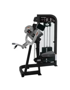 Life Fitness Hammer Strength Curl Biceps 