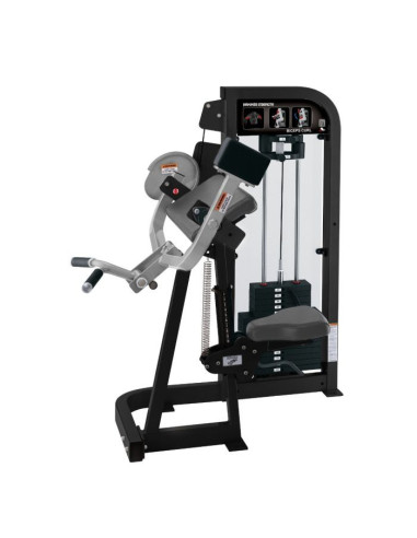 Life Fitness Hammer Strength Curl Biceps 