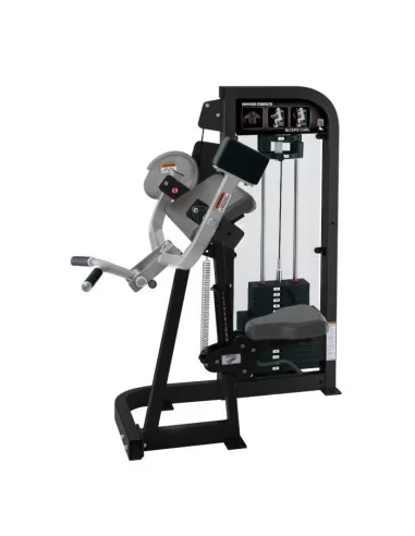 Life Fitness Hammer Strength Curl Biceps 