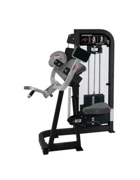 Life Fitness Hammer Strength Curl Biceps 