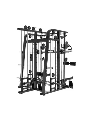 Binom Steel Force B19 Multigym Charge du disque, Triple Poulie, Power Rack, Multipower, Abdos et accessoires 