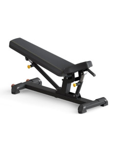 Binom Strength Banc Ajustable 