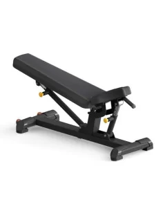 Binom Strength Banc Ajustable