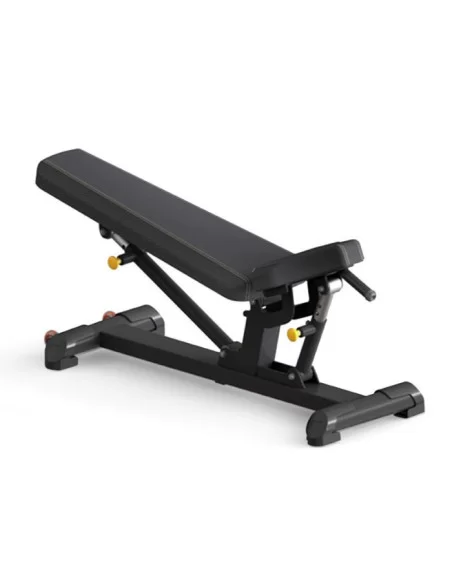 Binom Strength Banc Ajustable 