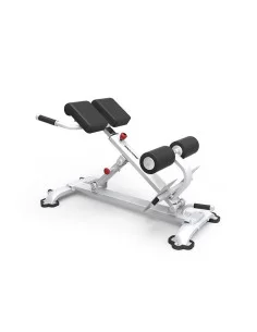 Banc d'Hyperextensions Evolution Bancs Bodytone