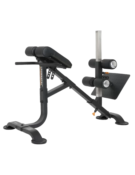 BANC  Combo ABDOS LOMBAIRE Réglable POWERTEC-Home-musculation-Pas cher