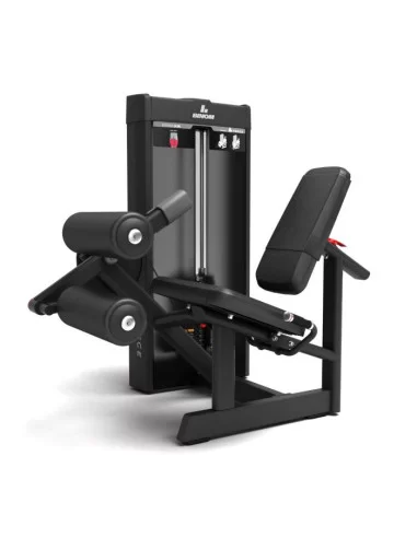 Binom Force Sélectif BF06 Jambe Assise 