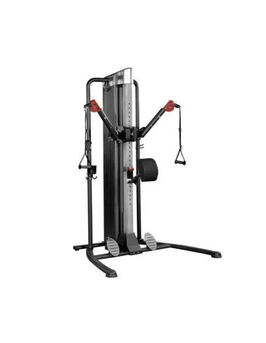 BINOM Platinum Functional Trainer AL2006