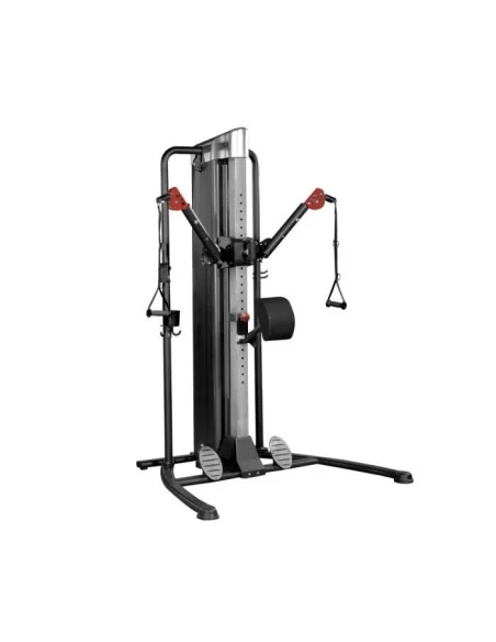 BINOM Platinum Functional Trainer AL2006  BINOM Platinum Functional Trainer AL2006