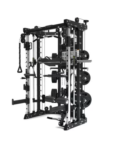 Binom Steel Force B11 Multigym, Double Poulie, Power Rack, Multipower, Leg Press et Accessoires 