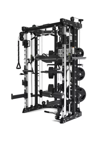 Binom Steel Force B11 Multigym, Double Poulie, Power Rack, Multipower, Leg Press et Accessoires 