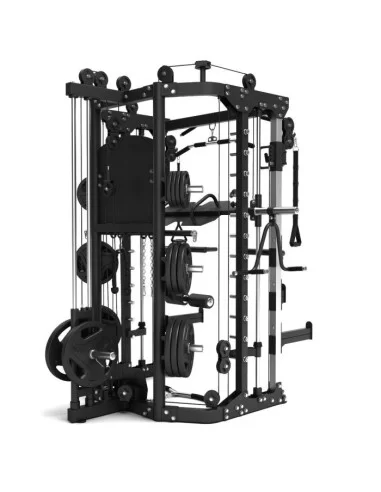 Binom Steel Force B11 Multigym, Double Poulie, Power Rack, Multipower, Leg Press et Accessoires 