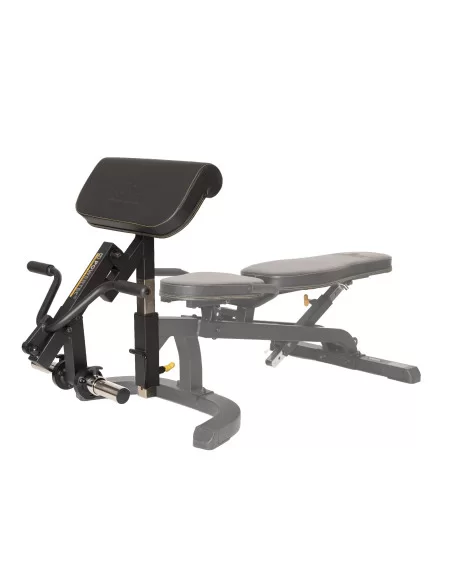 OPTION PUPITRE BICEPS POWERTEC-Home-musculation-Pas cher
