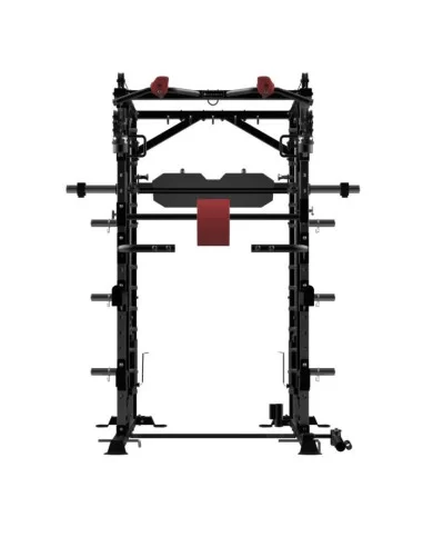 Binom Steel Force B20 Charge à disque, Multigym, Double poulie, Multipuissance, Presse et Accessoires 