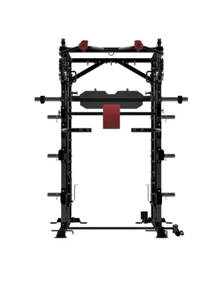 Binom Steel Force B20 Charge à disque, Multigym, Double poulie, Multipuissance, Presse et Accessoires 