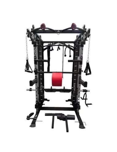 Binom Steel Force B20 Charge à disque, Multigym, Double poulie, Multipuissance, Presse et Accessoires 