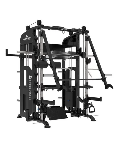 Binom Steel Force B21 Multigym avec 100 Kg x2, Bras Mobiles, Double Poulie, Power Rack, Multipower, Leg Press et accessoires 