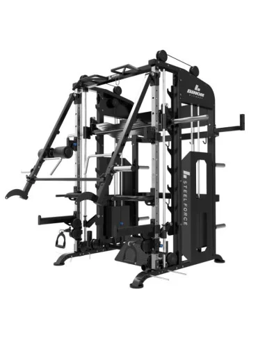 Binom Steel Force B21 Multigym avec 100 Kg x2, Bras Mobiles, Double Poulie, Power Rack, Multipower, Leg Press et accessoires 