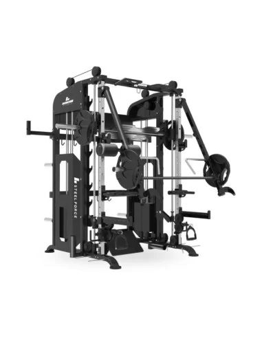 Binom Steel Force B21 Multigym avec 100 Kg x2, Bras Mobiles, Double Poulie, Power Rack, Multipower, Leg Press et accessoires 
