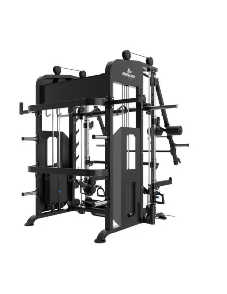 Binom Steel Force B21 Multigym avec 100 Kg x2, Bras Mobiles, Double Poulie, Power Rack, Multipower, Leg Press et accessoires 