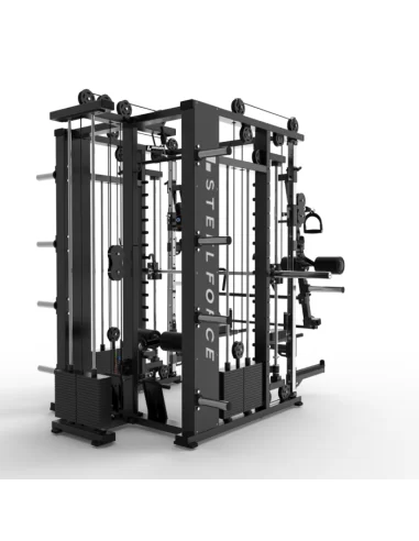 Binom Steel Force Multigym B22 avec 300Kg Poulie Multipower Haute / Basse, Presse jambes, Power rack, Abs, Bras mobiles, Fonds e