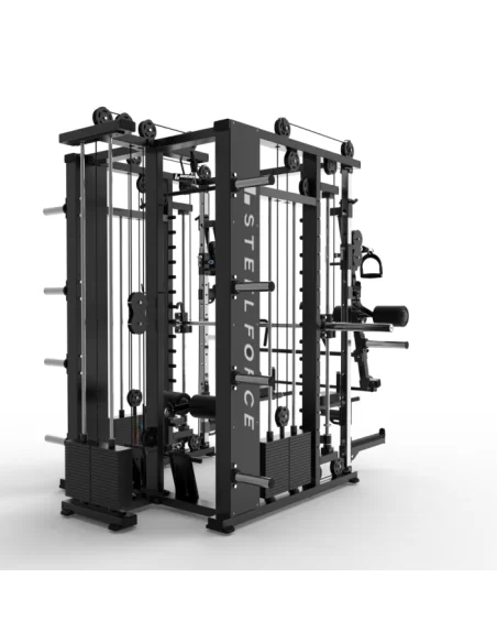 Binom Steel Force Multigym B22 avec 300Kg Poulie Multipower Haute / Basse, Presse jambes, Power rack, Abs, Bras mobiles, Fonds e