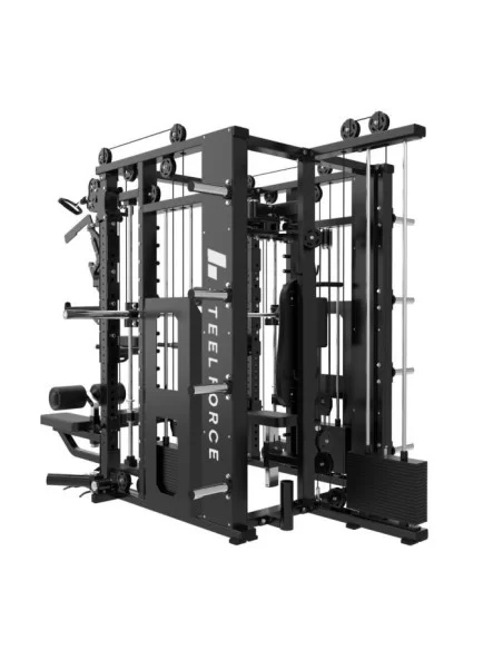 Binom Steel Force Multigym B23 avec 80 Kg x 3 tours, poulie haute/basse, Multipower, entrepreneur de poitrine, aviron, dips, abd
