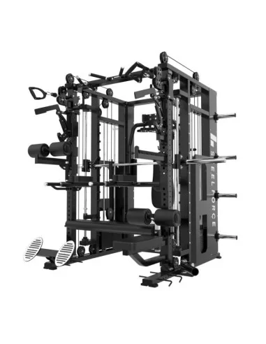 Binom Steel Force Multigym B23 avec 80 Kg x 3 tours, poulie haute/basse, Multipower, entrepreneur de poitrine, aviron, dips, abd