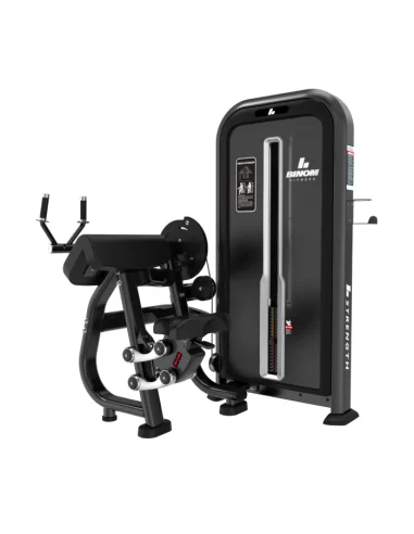 Binom Strength BPL06 Selectorized Triceps Extension 