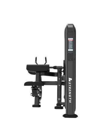 Binom Strength BPL06 Selectorized Triceps Extension