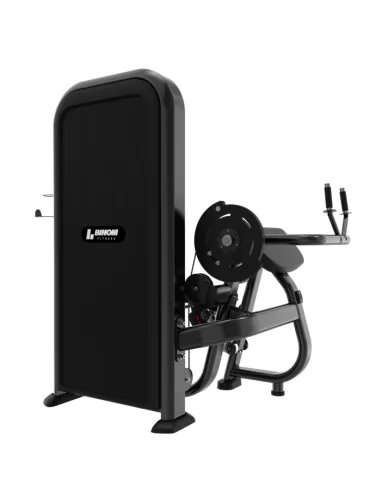 Binom Strength BPL06 Selectorized Triceps Extension
