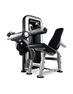 Bodytone Evolution Leg Curl Assis E53