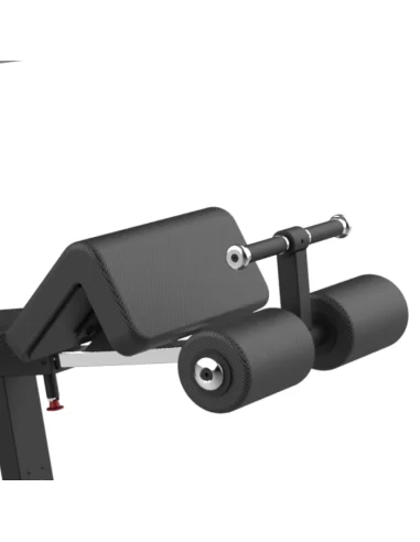 Bodytone FBC06 Déclin de la presse olympique 