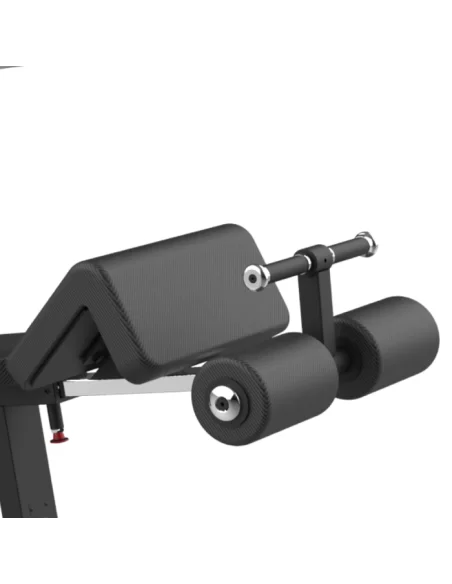 Bodytone FBC06 Déclin de la presse olympique 