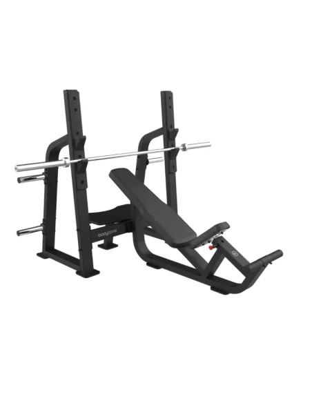 Bodytone FBC07 Presse Inclinée Olympique 