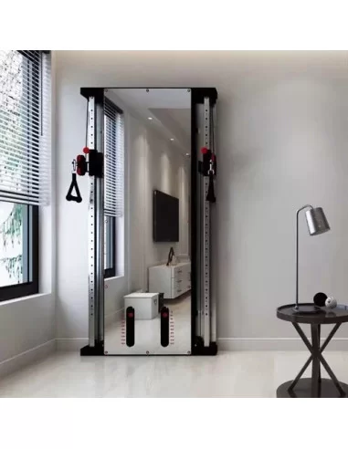 WALL FUNCTIONAL TRAINER 2X100KG-Home-musculation-Pas cher