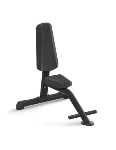 Binom Strength Chaise d&#039;Entraînement 