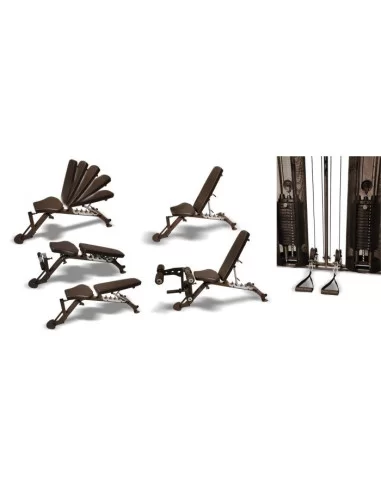 Inspire FT2 Double Poulie et Multipower avec Banc SCS 