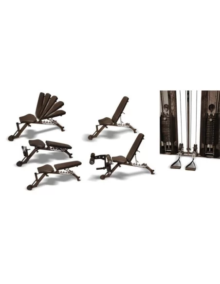 Inspire FT2 Double Poulie et Multipower avec Banc SCS 