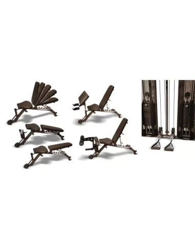 Inspire FT2 Double Poulie et Multipower avec Banc SCS 