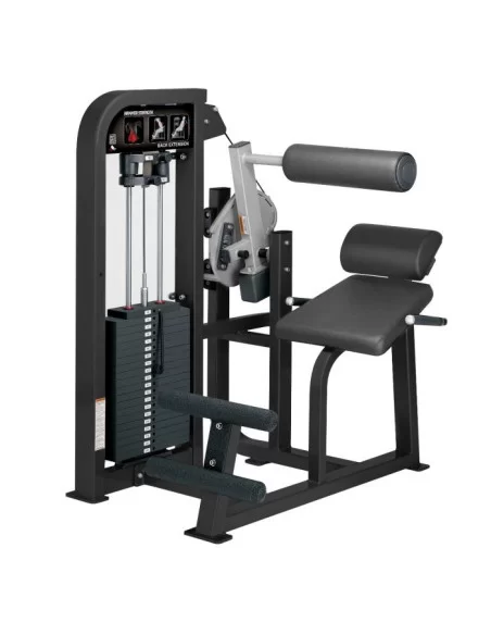 Life Fitness Hammer Strength Back Extension 