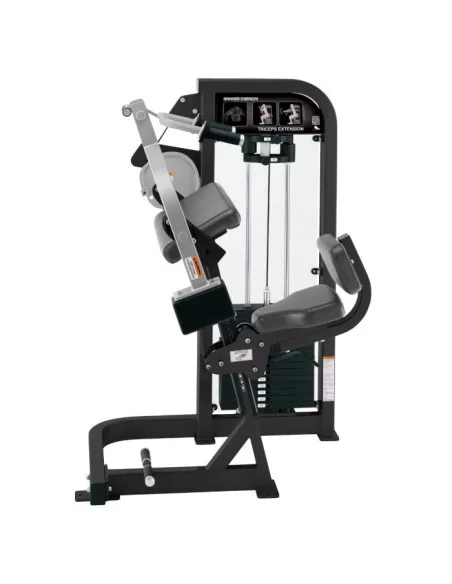Life Fitness Hammer Strength Triceps Extension 