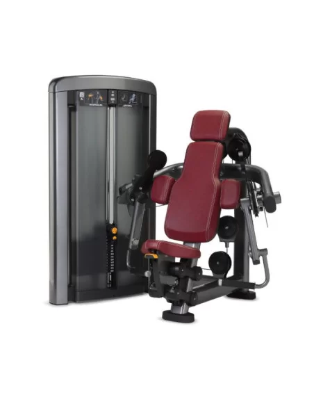 Life Fitness Insignia Biceps Curl 