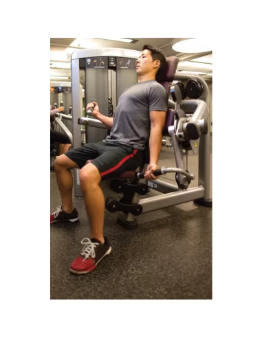 Life Fitness Insignia Biceps Curl 