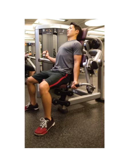 Life Fitness Insignia Biceps Curl 