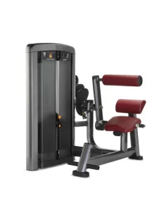 Life Fitness Insignia Extension de Dos
