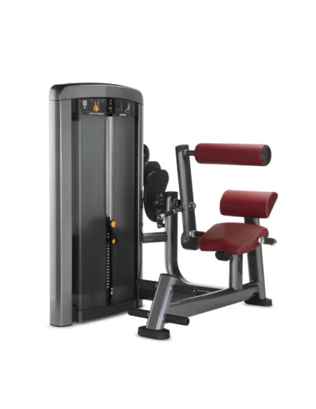 Life Fitness Insignia Extension de Dos 