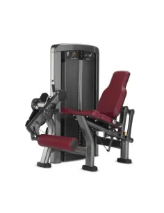 Life Fitness Insignia Extension de Jambes 