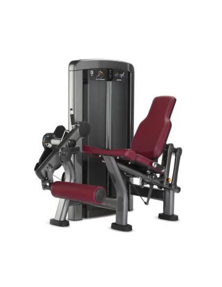 Life Fitness Insignia Extension de Jambes 