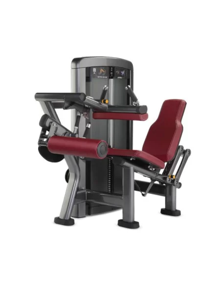 Life Fitness Insignia Fémoral Assis  